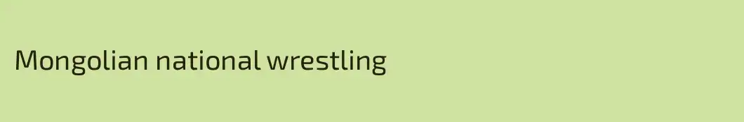 Mongolian national wrestling
